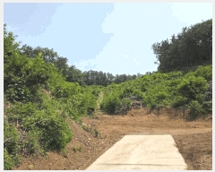  2025Ÿ51259  ûֽ   ϸ 30     (Ӿ)