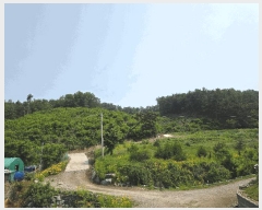  2025Ÿ51259  ûֽ   ϸ 30     (Ӿ)