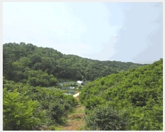  2025Ÿ51259  ûֽ   ϸ 30     (Ӿ)