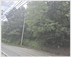  2025Ÿ51507  ûֽ   ׾ϸ 19     (Ӿ)