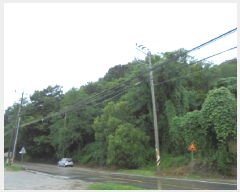  2025Ÿ51507  ûֽ   ׾ϸ 19     (Ӿ)