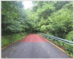  2025Ÿ51529  ûֽ 籸  57-1      ()