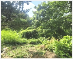  2025Ÿ51529  ûֽ 籸  57-1      ()