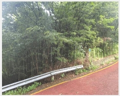  2025Ÿ51529  ûֽ 籸  57-1      ()