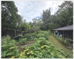  2025Ÿ51529  ûֽ 籸  57-1      ()