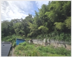  2025Ÿ51529  ûֽ 籸  57-1      ()