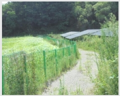  2025Ÿ51567    Ӹ 137      ()