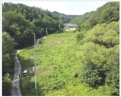  2025Ÿ51567    Ӹ 137      ()