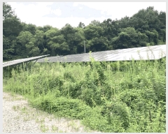  2025Ÿ51567    Ӹ 137      ()