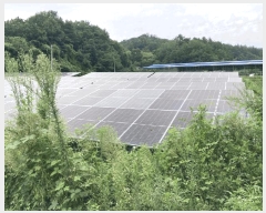  2025Ÿ51567    Ӹ 137      ()