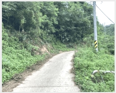  2025Ÿ51567    Ӹ 137      ()