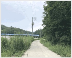  2025Ÿ51567    Ӹ 137      ()