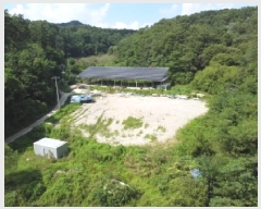  2025Ÿ51567    Ӹ 137      ()