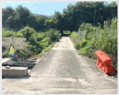  2025Ÿ51569    ߸ 114-7      ()