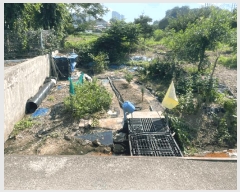  2025Ÿ51569    ߸ 114-7      ()