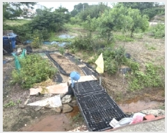  2025Ÿ51569    ߸ 114-7      ()