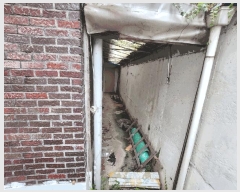  2025Ÿ��51615  ���ð��