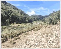  2025Ÿ51620  걺  ž̸ 108      (1)