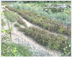  2025Ÿ51620  걺  ž̸ 108      (1)