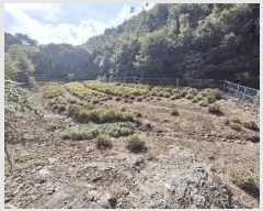  2025Ÿ51620  걺  ž̸ 108      (1)