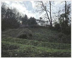  2025Ÿ��51785  �����