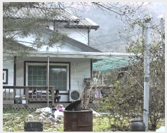  2025Ÿ��51785  �����