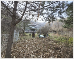  2025Ÿ��51785  �����