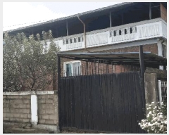  2025Ÿ��51964  ���ð��