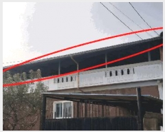  2025Ÿ��51964  ���ð��