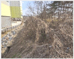  2025Ÿ��1842  �Ӿ߰��