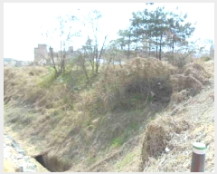  2025Ÿ��1842  �Ӿ߰��