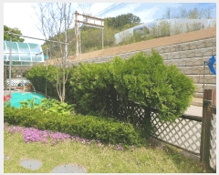  2025Ÿ��1897 ��� û�ֽ� û���� ��â�� ���渮 139-2     �����ڽü����