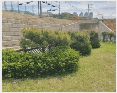  2025Ÿ��1897 ��� û�ֽ� û���� ��â�� ���渮 139-2     �����ڽü����