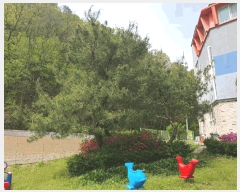  2025Ÿ��1897 ��� û�ֽ� û���� ��â�� ���渮 139-2     �����ڽü����