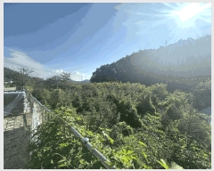  2025Ÿ2197  ûֽ 籸 Ǹ  470     ()