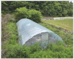  2025Ÿ2197  ûֽ 籸 Ǹ  470     ()