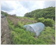  2025Ÿ2197  ûֽ 籸 Ǹ  470     ()