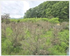  2025Ÿ2197  ûֽ 籸 Ǹ  470     ()