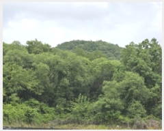  2025Ÿ2197  ûֽ 籸 Ǹ  470     ()