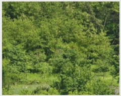  2025Ÿ2197  ûֽ 籸 Ǹ  470     ()