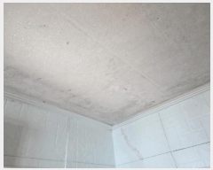  2025Ÿ3534  ûֽ   78-3 ̵ 4402ȣ    ټ,