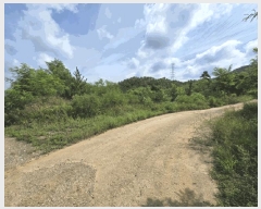  2025Ÿ3565  ûֽ 籸  û븮 30     (Ӿ)