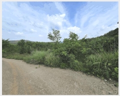  2025Ÿ3565  ûֽ 籸  û븮 30     (Ӿ)