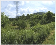  2025Ÿ3565  ûֽ 籸  û븮 30     (Ӿ)