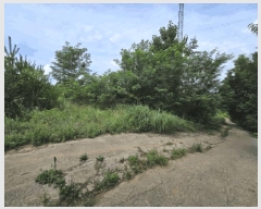  2025Ÿ3565  ûֽ 籸  û븮 30     (Ӿ)