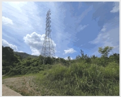  2025Ÿ3565  ûֽ 籸  û븮 30     (Ӿ)