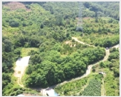  2025Ÿ3565  ûֽ 籸  û븮 30     (Ӿ)