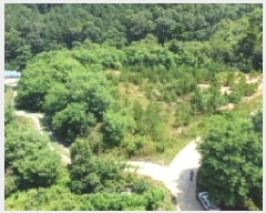  2025Ÿ3565  ûֽ 籸  û븮 30     (Ӿ)