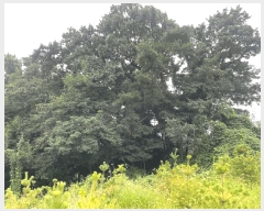  2025Ÿ3831  ûֽ û   61-1     (Ӿ)