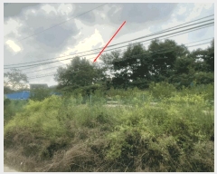  2025Ÿ3831  ûֽ û   61-1     (Ӿ)